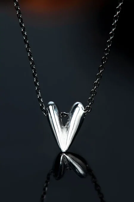 Heart silver necklace main